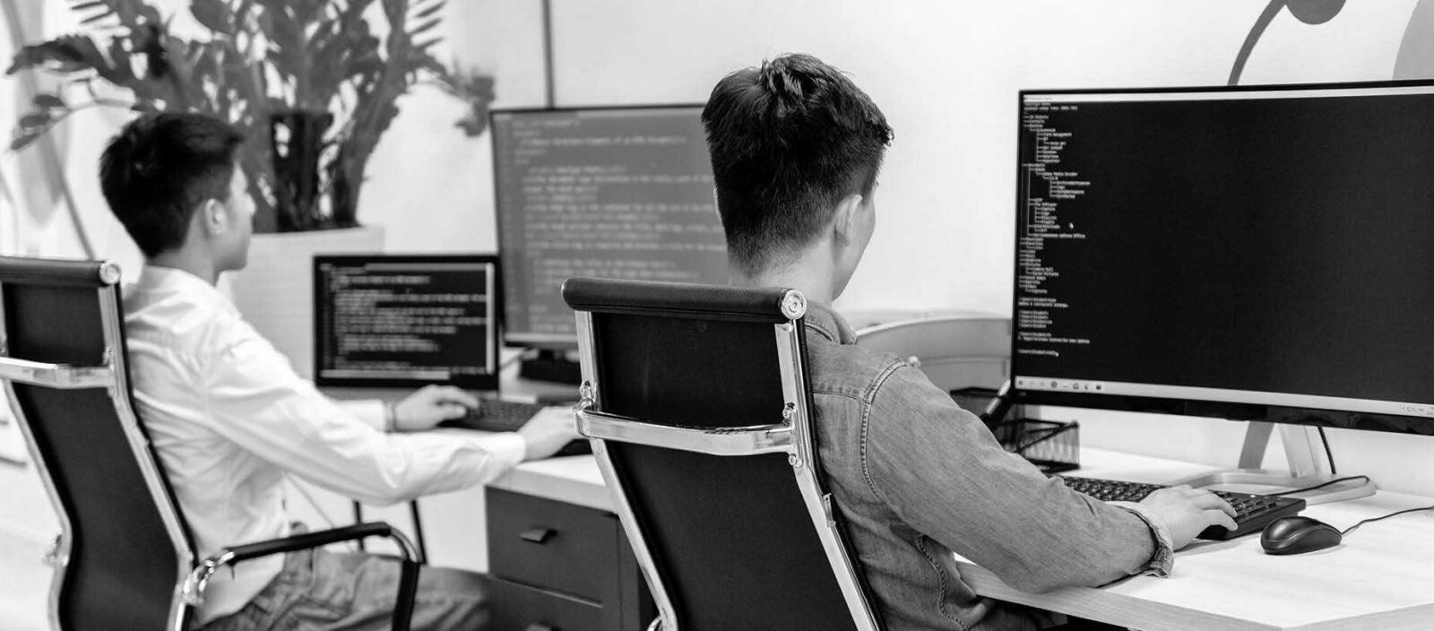 two men working at their computers