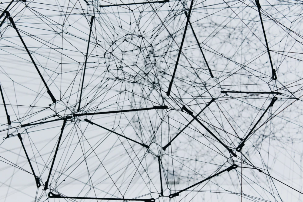 Image of black & white interconnected lines